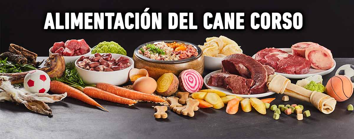 alimentación cane corso