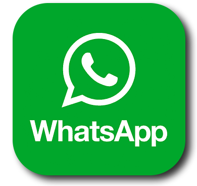 Contacto cane corso XMAN