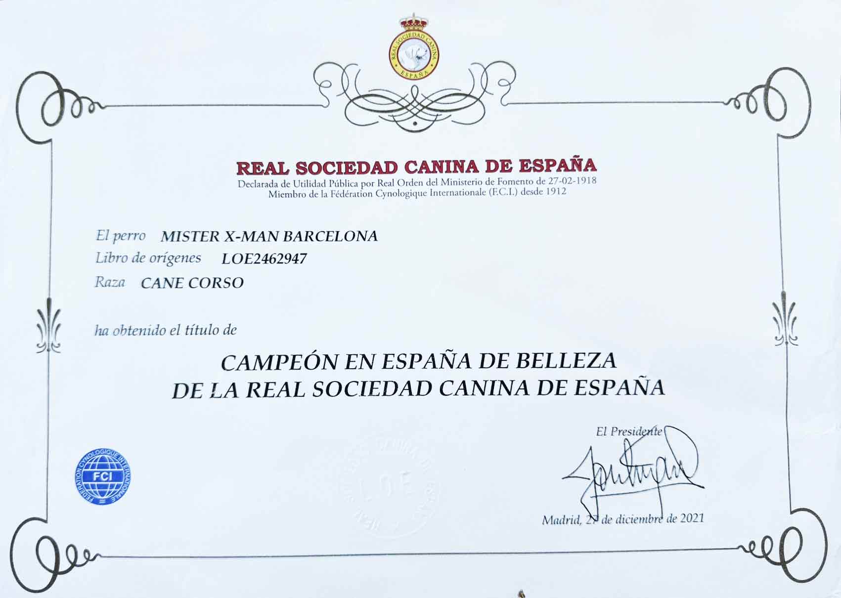 curso-de-revolucion-solar-astrologia-cosmosistemica-barcelona-cosmosistemica