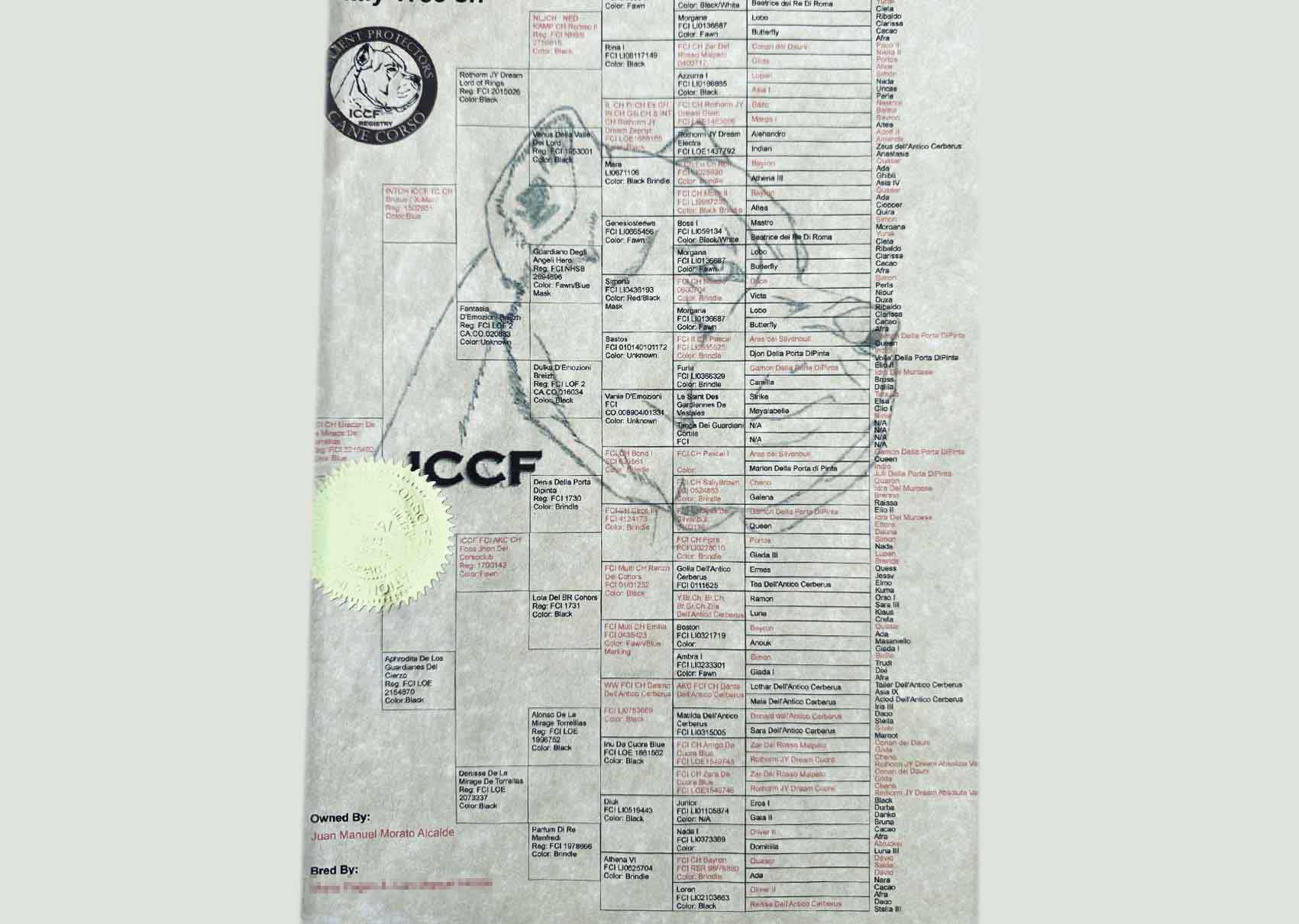 curso-de-carta-astral-natal-barcelona