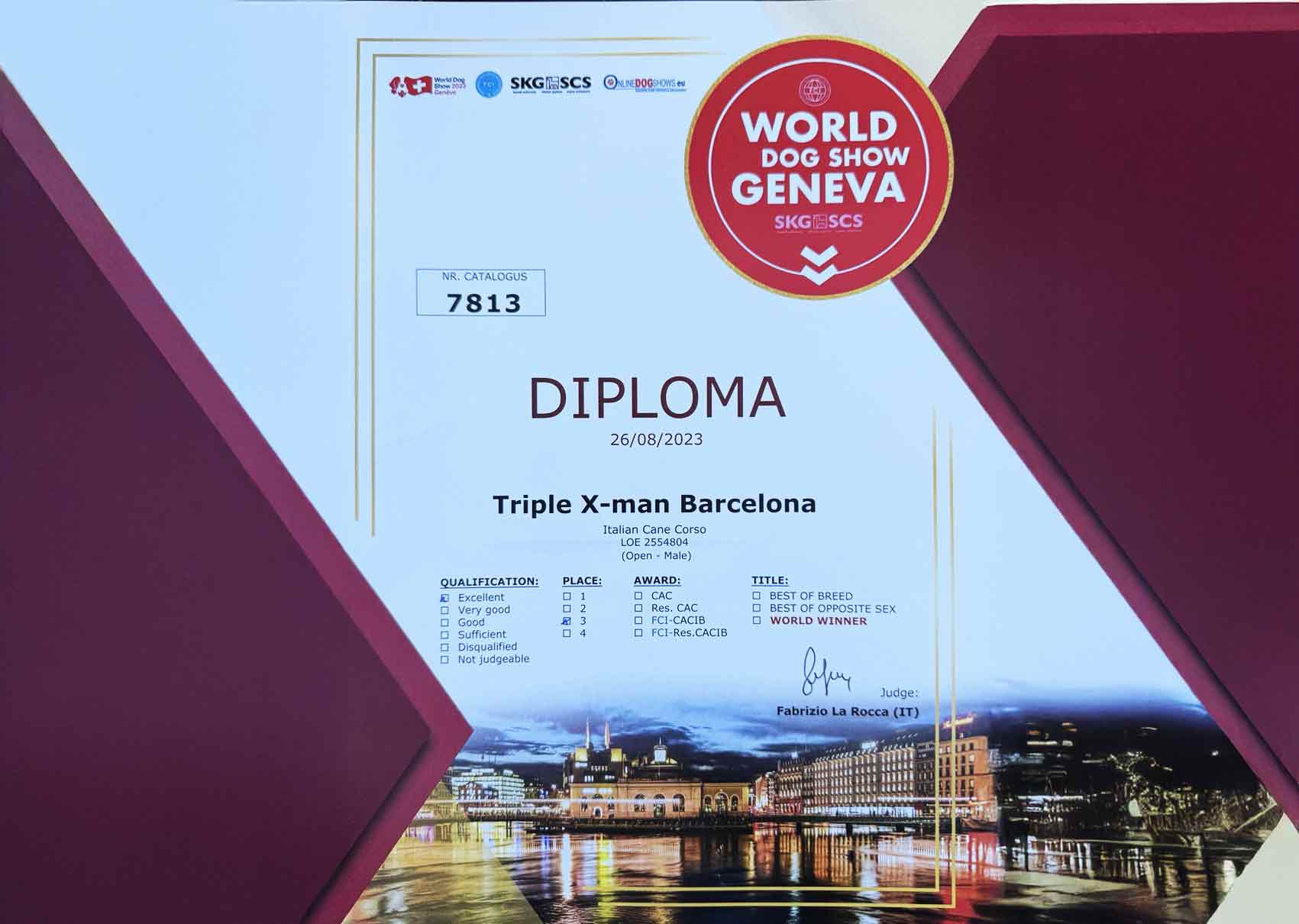 curso-de-sinastrias-magnetismo-vincular-barcelona